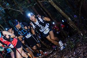 BIB: 302, 2210
                            <button type="button" onclick="openModal(19039811)" class="btn btn-primary btn-sm float-right btn-popup" data-toggle="modal" data-target=".modal-high-quality">
                        <i class="fas fa-shopping-cart"></i> Add to Cart
                    </button>
                                            <button type="button" onclick="isThisMe(19039811, true)" class="btn btn-success btn-sm float-right btn-popup btn-isme hidden" data-toggle="tooltip" data-placement="bottom" title="นี่คือรูปของคุณใช่ไหม คลิกที่นี่เพื่อเอาเข้าอัลบั้ม">
                        <i class="fas fa-plus"></i> Add to album
                    </button>
                    <button type="button" onclick="isThisMe(19039811, false)" class="btn btn-warning btn-sm float-right btn-popup btn-isnotme hidden">
                        <i class="fas fa-ban"></i> Remove from album
                    </button>